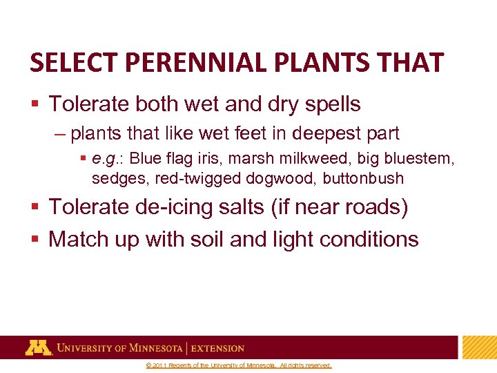 SELECT PERENNIAL PLANTS THAT § Tolerate both wet and dry spells – plants that