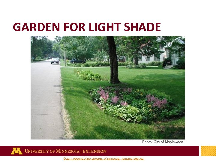 GARDEN FOR LIGHT SHADE Photo: City of Maplewood 38 © 2011 Regents of the