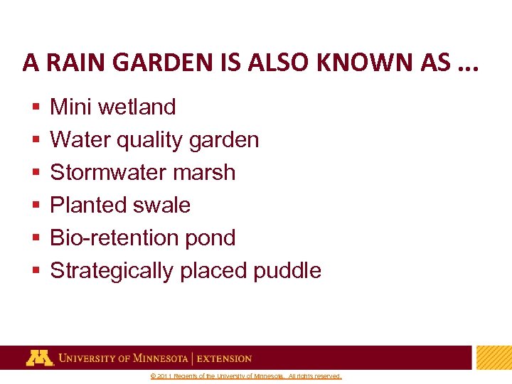 A RAIN GARDEN IS ALSO KNOWN AS. . . § § § Mini wetland