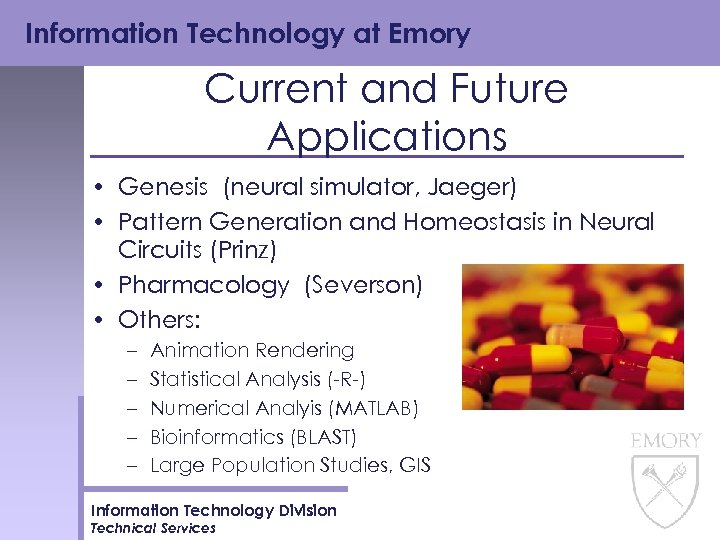 Information Technology at Emory Current and Future Applications • Genesis (neural simulator, Jaeger) •
