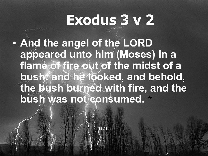 Exodus 3 v 2 • And the angel of the LORD appeared unto him