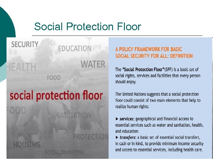 Social Protection Floor 
