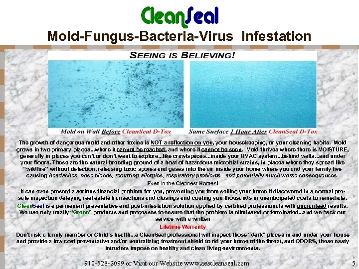 Mold-Fungus-Bacteria-Virus Infestation The growth of dangerous mold and other toxins is NOT a reflection
