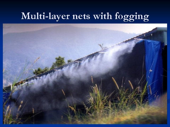 Multi-layer nets with fogging 