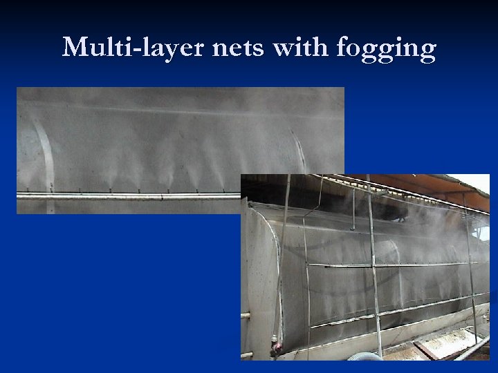 Multi-layer nets with fogging 