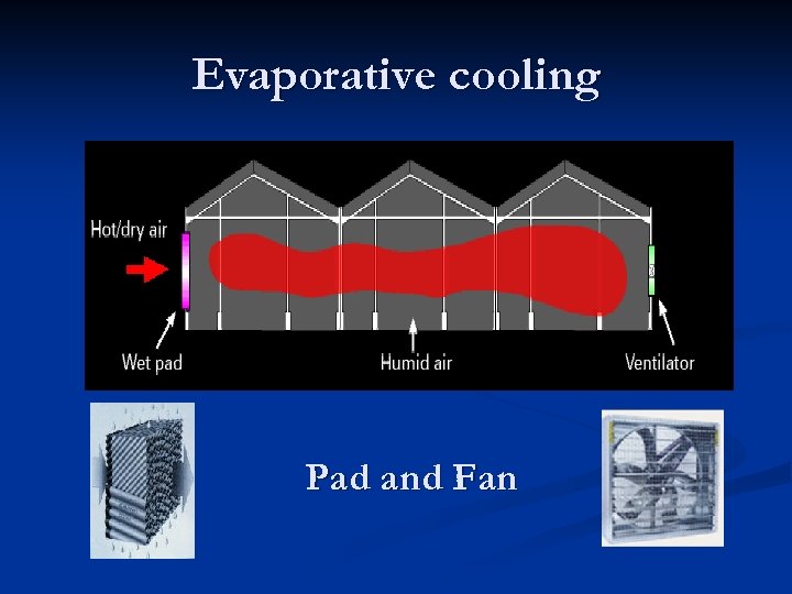 Evaporative cooling Pad and Fan 