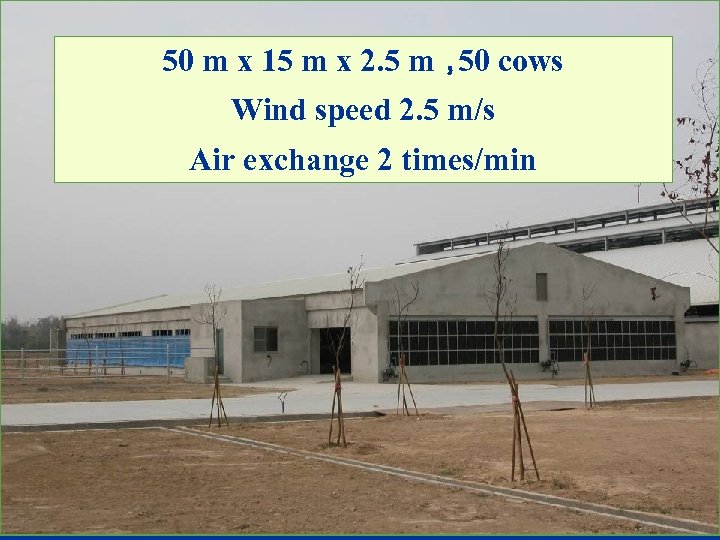 50 m x 15 m x 2. 5 m， cows 50 Wind speed 2.