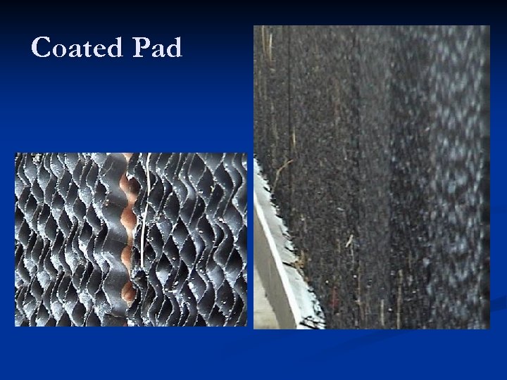 Coated Pad 