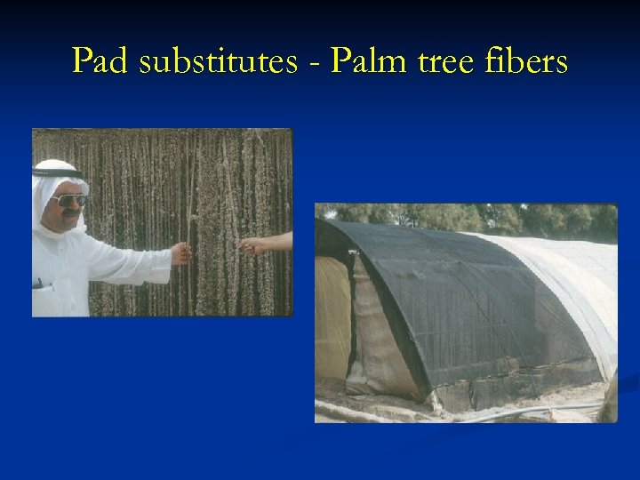 Pad substitutes - Palm tree fibers 