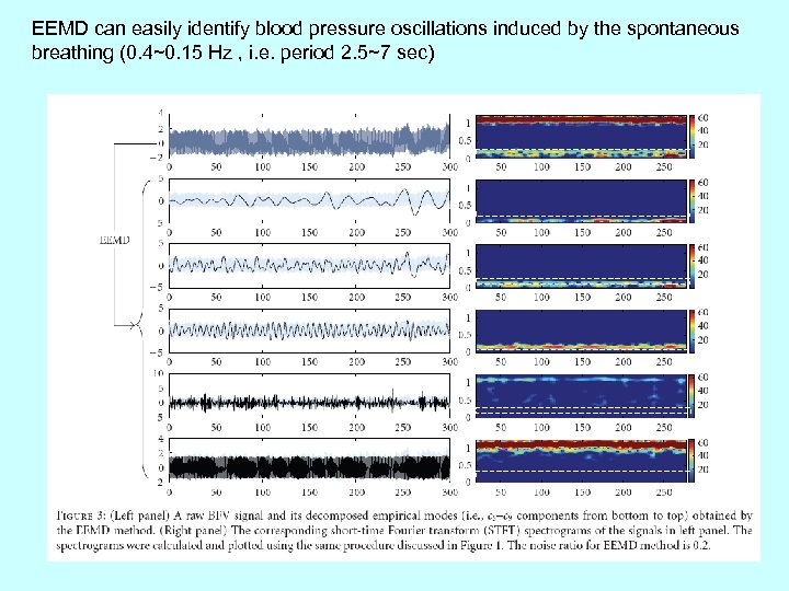 EEMD can easily identify blood pressure oscillations induced by the spontaneous breathing (0. 4~0.