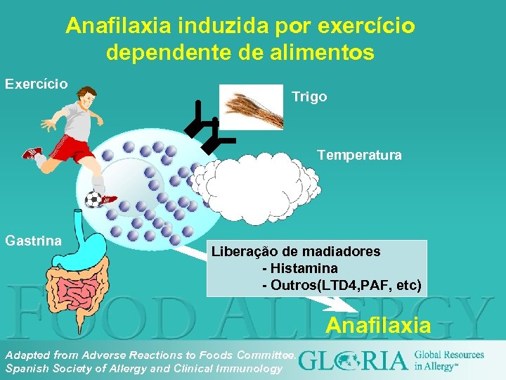 Anafilaxia induzida por exercício dependente de alimentos Exercício Trigo Temperatura Gastrina Liberação de madiadores