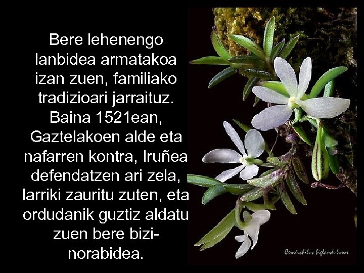 Bere lehenengo lanbidea armatakoa izan zuen, familiako tradizioari jarraituz. Baina 1521 ean, Gaztelakoen alde