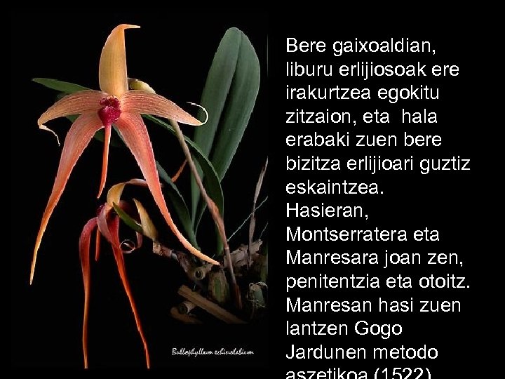 Bere gaixoaldian, liburu erlijiosoak ere irakurtzea egokitu zitzaion, eta hala erabaki zuen bere bizitza