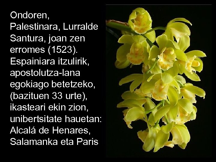 Ondoren, Palestinara, Lurralde Santura, joan zen erromes (1523). Espainiara itzulirik, apostolutza-lana egokiago betetzeko, (bazituen