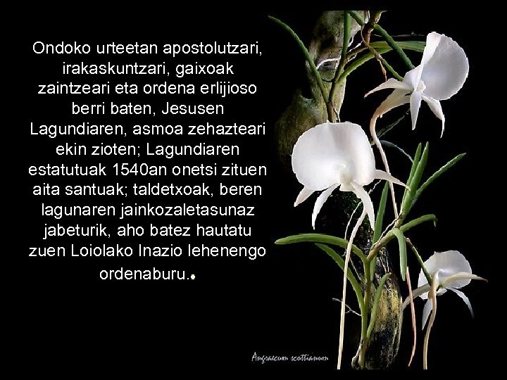 Ondoko urteetan apostolutzari, irakaskuntzari, gaixoak zaintzeari eta ordena erlijioso berri baten, Jesusen Lagundiaren, asmoa