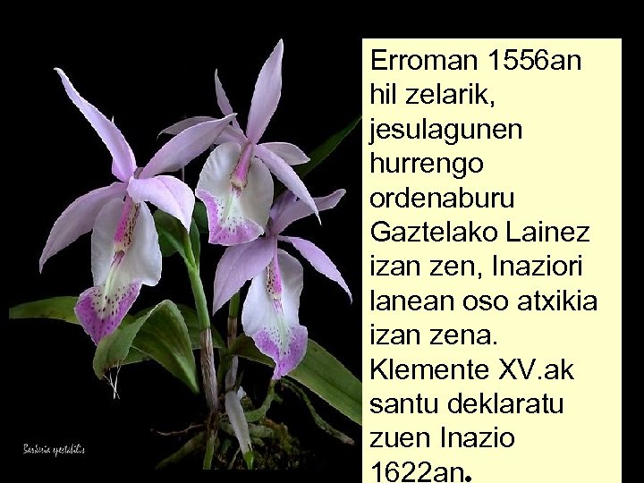 Erroman 1556 an hil zelarik, jesulagunen hurrengo ordenaburu Gaztelako Lainez izan zen, Inaziori lanean