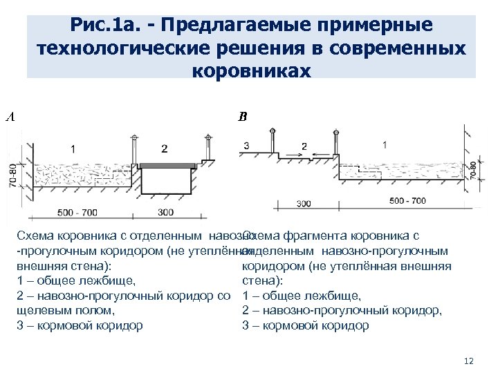Рис. 1 а. - Предлагаемые примерные технологические решения в современных коровниках Схема коровника с