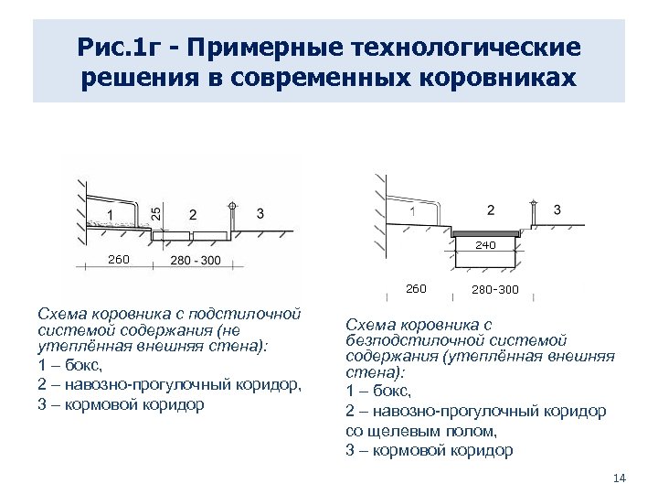 Рис. 1 г - Примерные технологические решения в современных коровниках Схема коровника с подстилочной