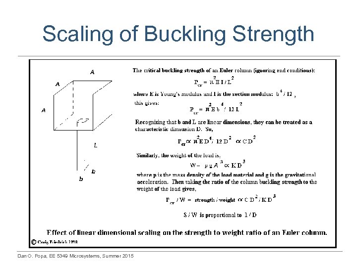 Scaling of Buckling Strength Dan O. Popa, EE 5349 Microsystems, Summer 2015 