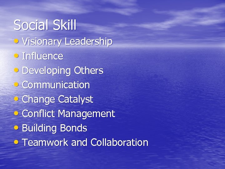 Social Skill • Visionary Leadership • Influence • Developing Others • Communication • Change