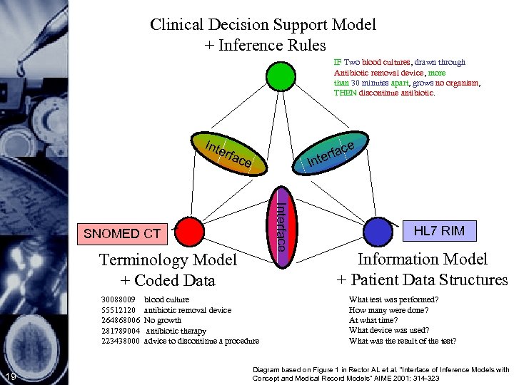 Clinical Decision Support Model + Inference Rules IF Two blood cultures, drawn through Antibiotic