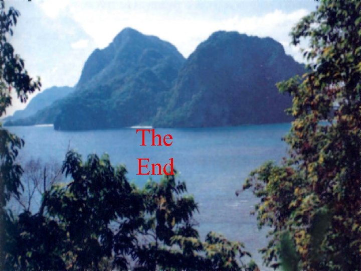 The End 