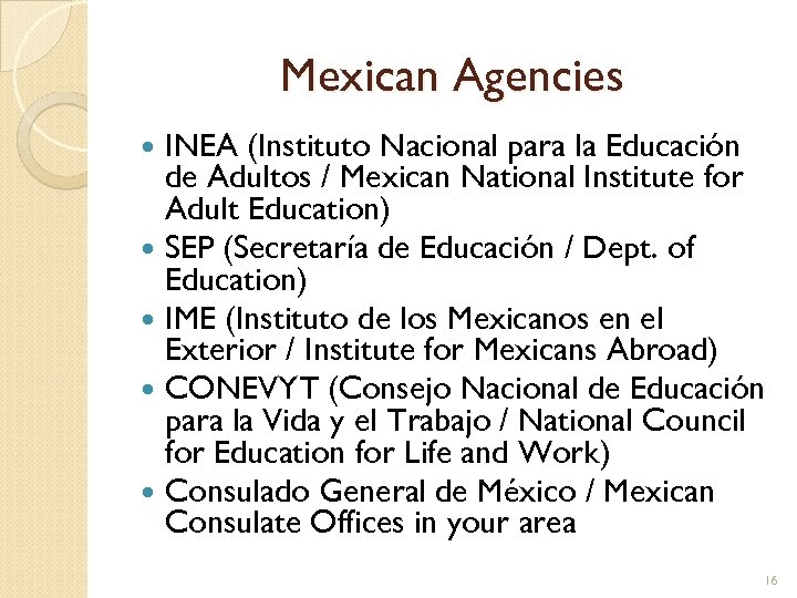 Mexican Agencies INEA (Instituto Nacional para la Educación de Adultos / Mexican National Institute