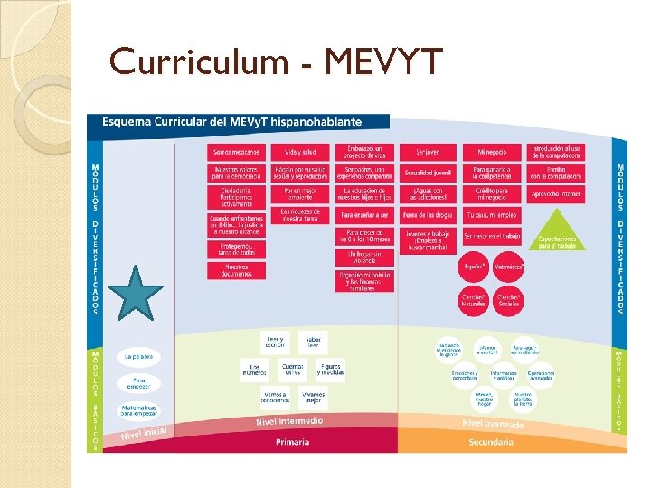 Curriculum - MEVYT 
