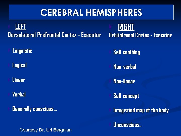 CEREBRAL HEMISPHERES ¥ LEFT Dorsolateral Prefrontal Cortex - Executor ¥ Linguistic ¥ RIGHT Orbitofronal