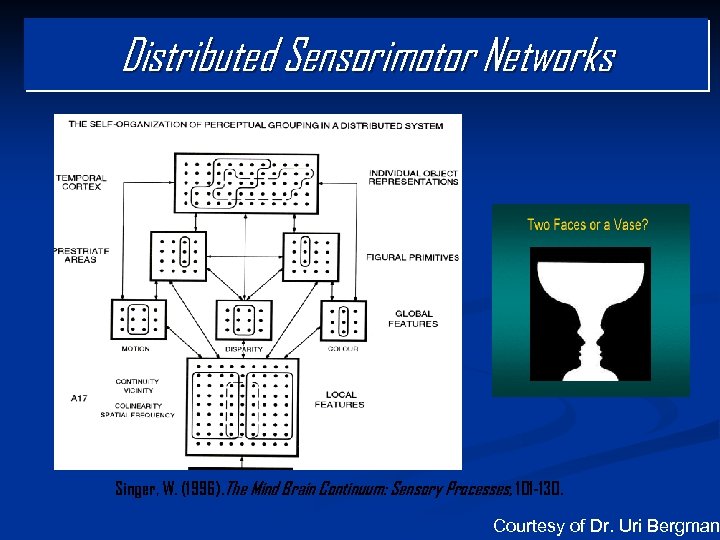 Distributed Sensorimotor Networks Singer, W. (1996). The Mind Brain Continuum: Sensory Processes, 101 -130.