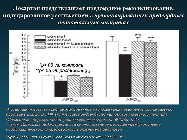 Лосартан предотвращает предсердное ремоделирование, индуцированное растяжением в культивированных предсердных неонатальных миоцитах *p<. 05 vs.