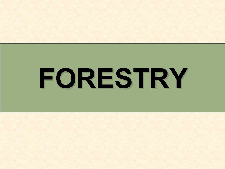 FORESTRY 
