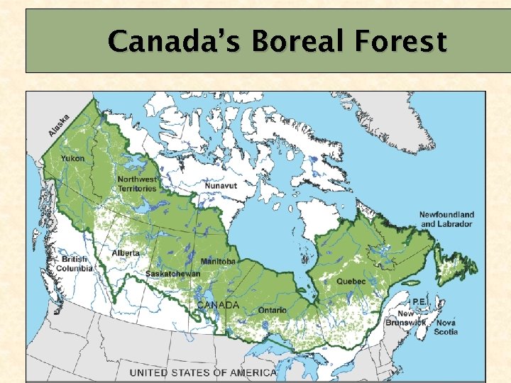 Canada’s Boreal Forest 