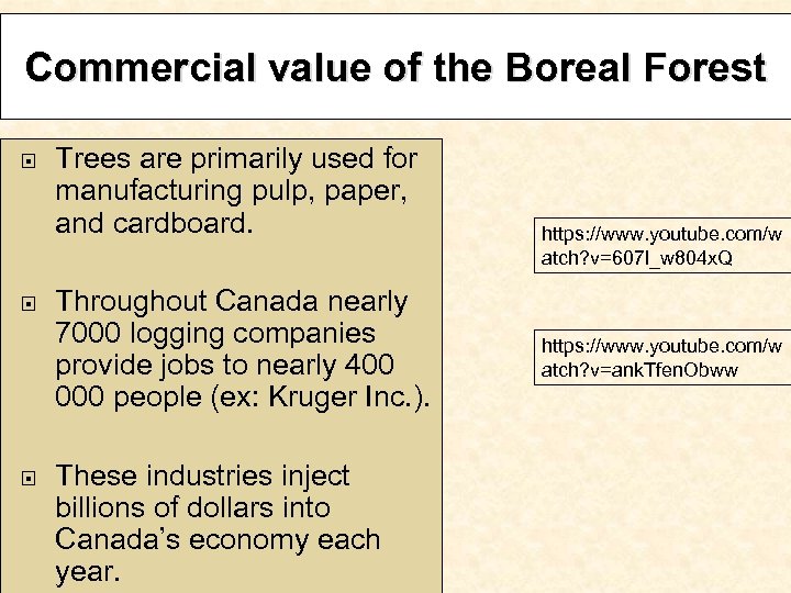 Commercial value of the Boreal Forest Trees are primarily used for manufacturing pulp, paper,