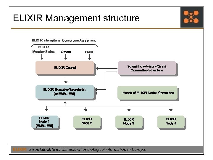 ELIXIR Management structure ELIXIR International Consortium Agreement ELIXIR Member States Others EMBL Scientific Advisory/Grant