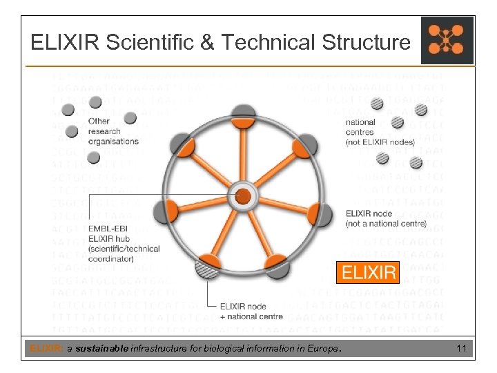 ELIXIR Scientific & Technical Structure ELIXIR: a sustainable infrastructure for biological information in Europe.