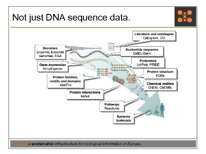 Not just DNA sequence data. ELIXIR: a sustainable infrastructure for biological information in Europe.