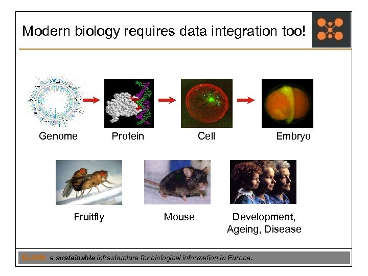 Modern biology requires data integration too! Genome Fruitfly Protein Cell Mouse Embryo Development, Ageing,