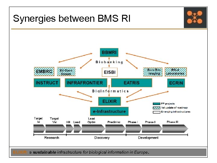 Synergies between BMS RI ELIXIR: a sustainable infrastructure for biological information in Europe. 