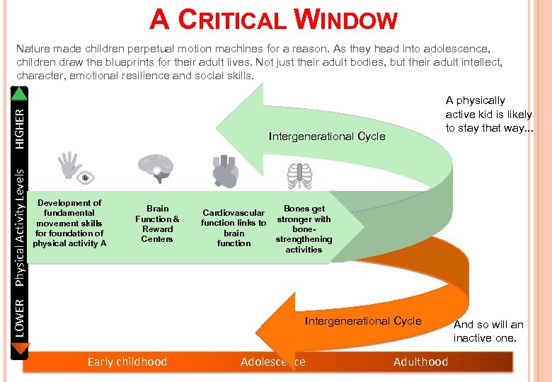 A CRITICAL WINDOW LOWER Physical Activity Levels HIGHER Nature made children perpetual motion machines