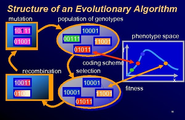 Structure of an Evolutionary Algorithm mutation population of genotypes 10111 10001 01001 recombination 00111