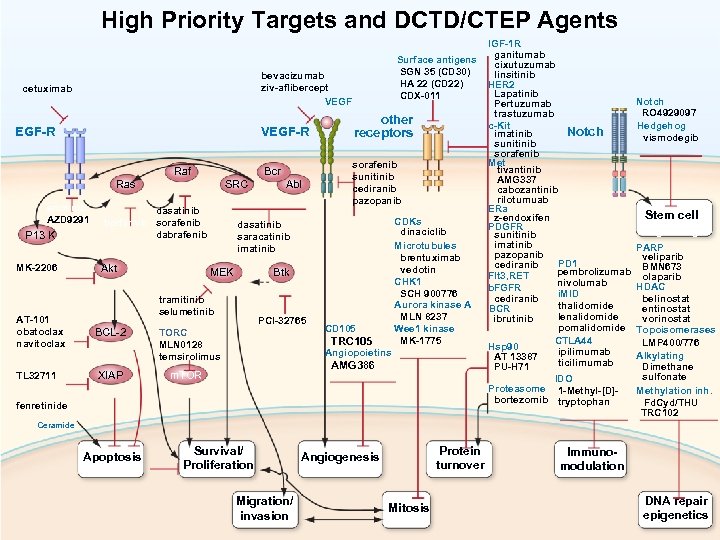 High Priority Targets and DCTD/CTEP Agents bevacizumab ziv-aflibercept VEGF cetuximab EGF-R VEGF-R Ras erlotinib