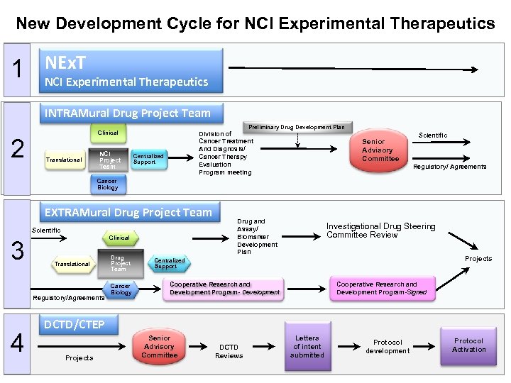 New Development Cycle for NCI Experimental Therapeutics 1 NEx. T NCI Experimental Therapeutics INTRAMural