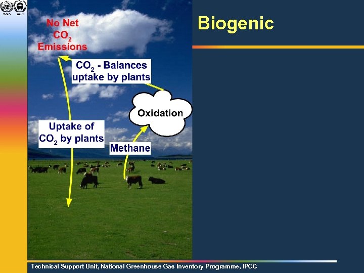 Biogenic Technical Support Unit, National Greenhouse Gas Inventory Programme, IPCC 