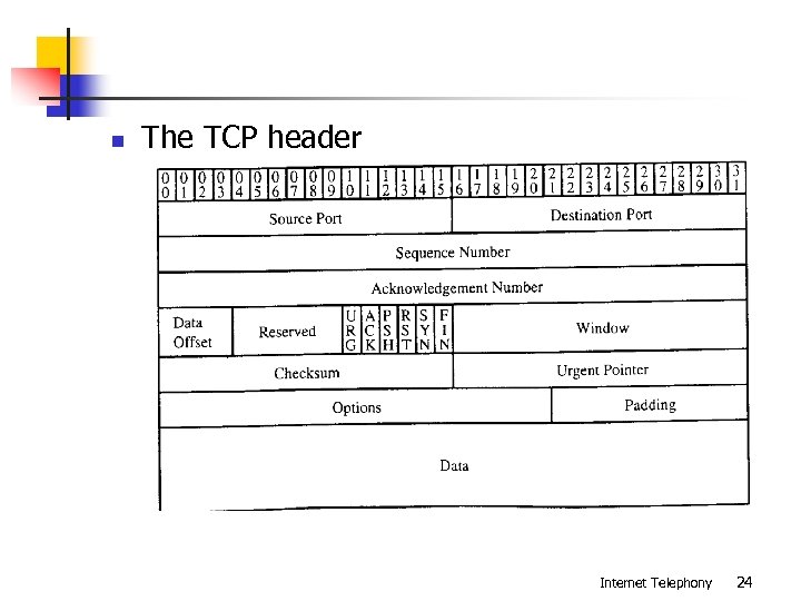 n The TCP header Internet Telephony 24 