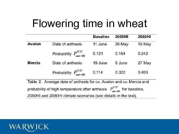 Flowering time in wheat 