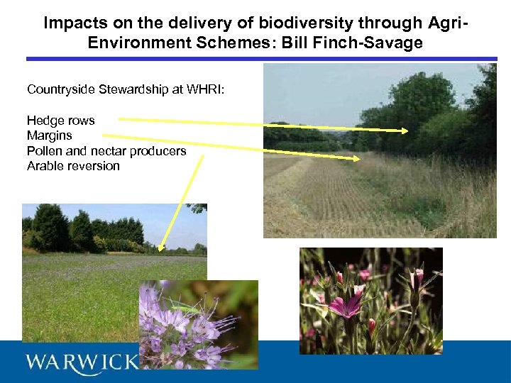 Impacts on the delivery of biodiversity through Agri. Environment Schemes: Bill Finch-Savage Countryside Stewardship