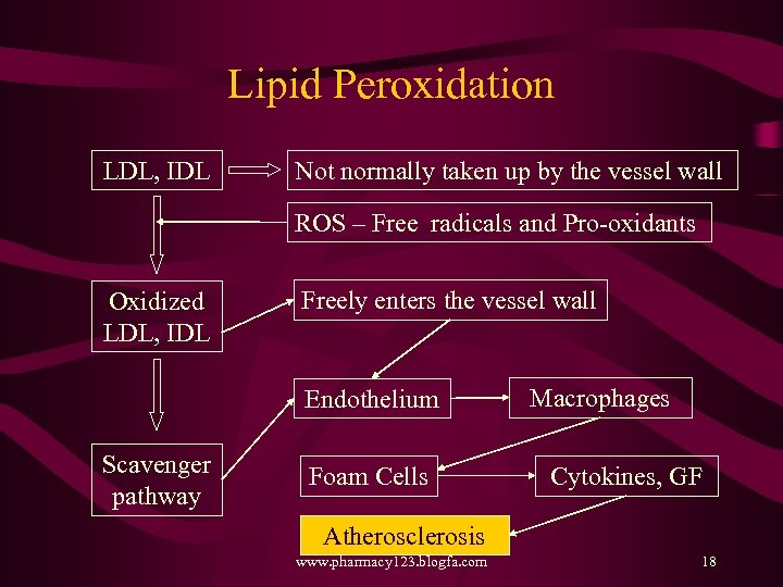 Lipid Peroxidation LDL, IDL Not normally taken up by the vessel wall ROS –