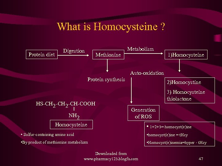 What is Homocysteine ? Protein diet Digestion Methionine Metabolism 1)Homocysteine Auto-oxidation Protein synthesis HS-CH