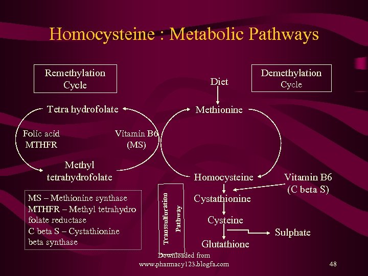 Homocysteine : Metabolic Pathways Remethylation Cycle Diet Tetra hydrofolate Folic acid MTHFR Demethylation Cycle